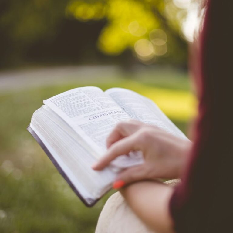 Cómo leer la Biblia